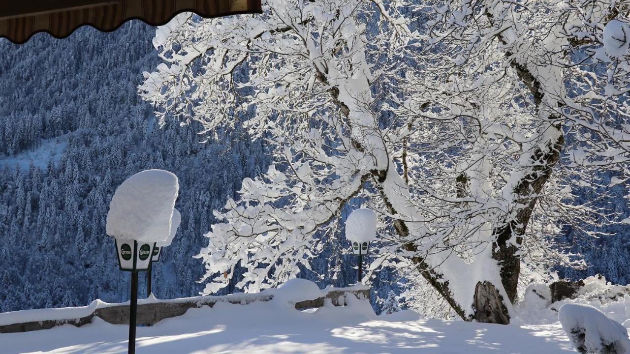 Gasthof Lamprechtbauer Kotschach-Mauthen Luaran gambar