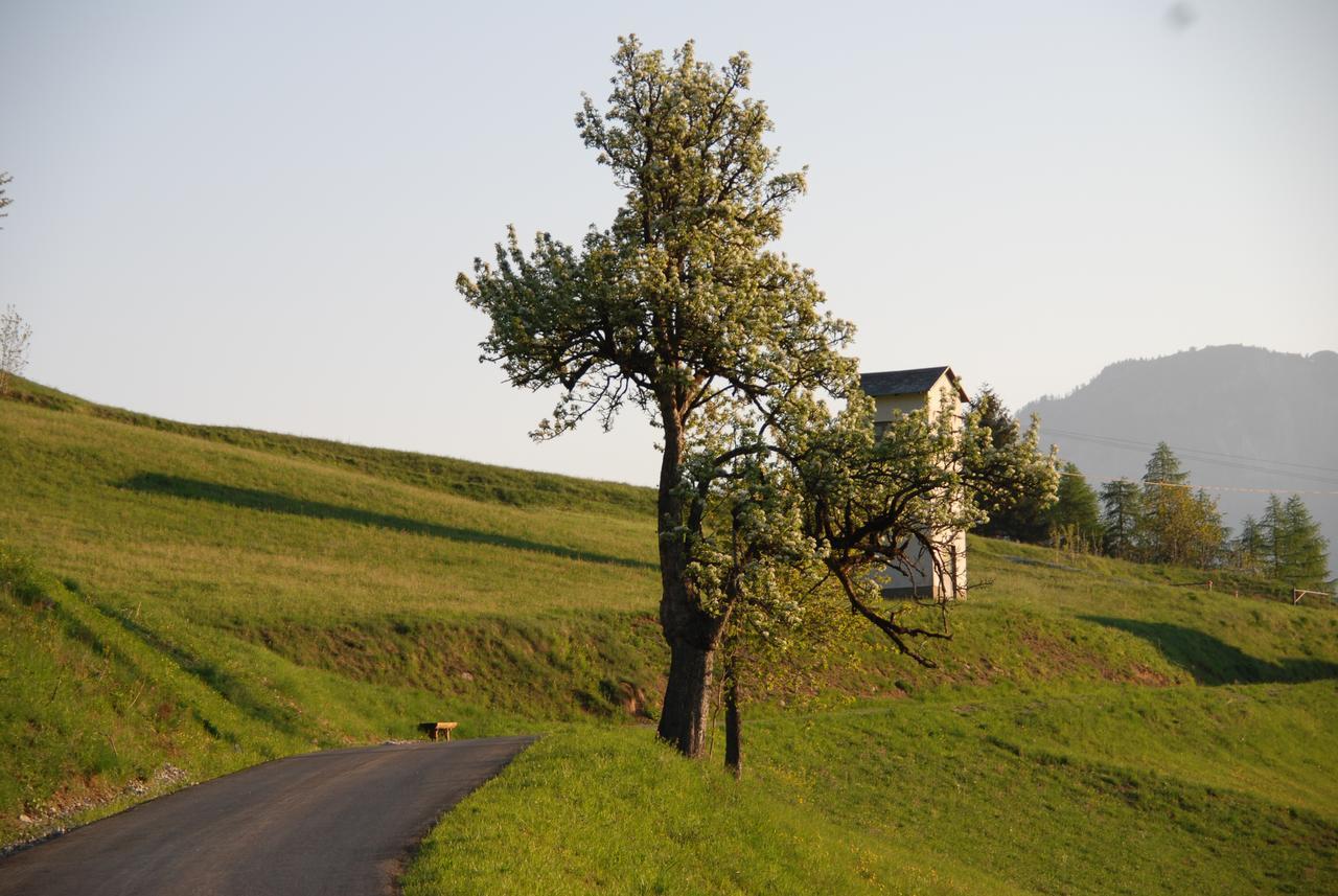 Gasthof Lamprechtbauer Kotschach-Mauthen Luaran gambar